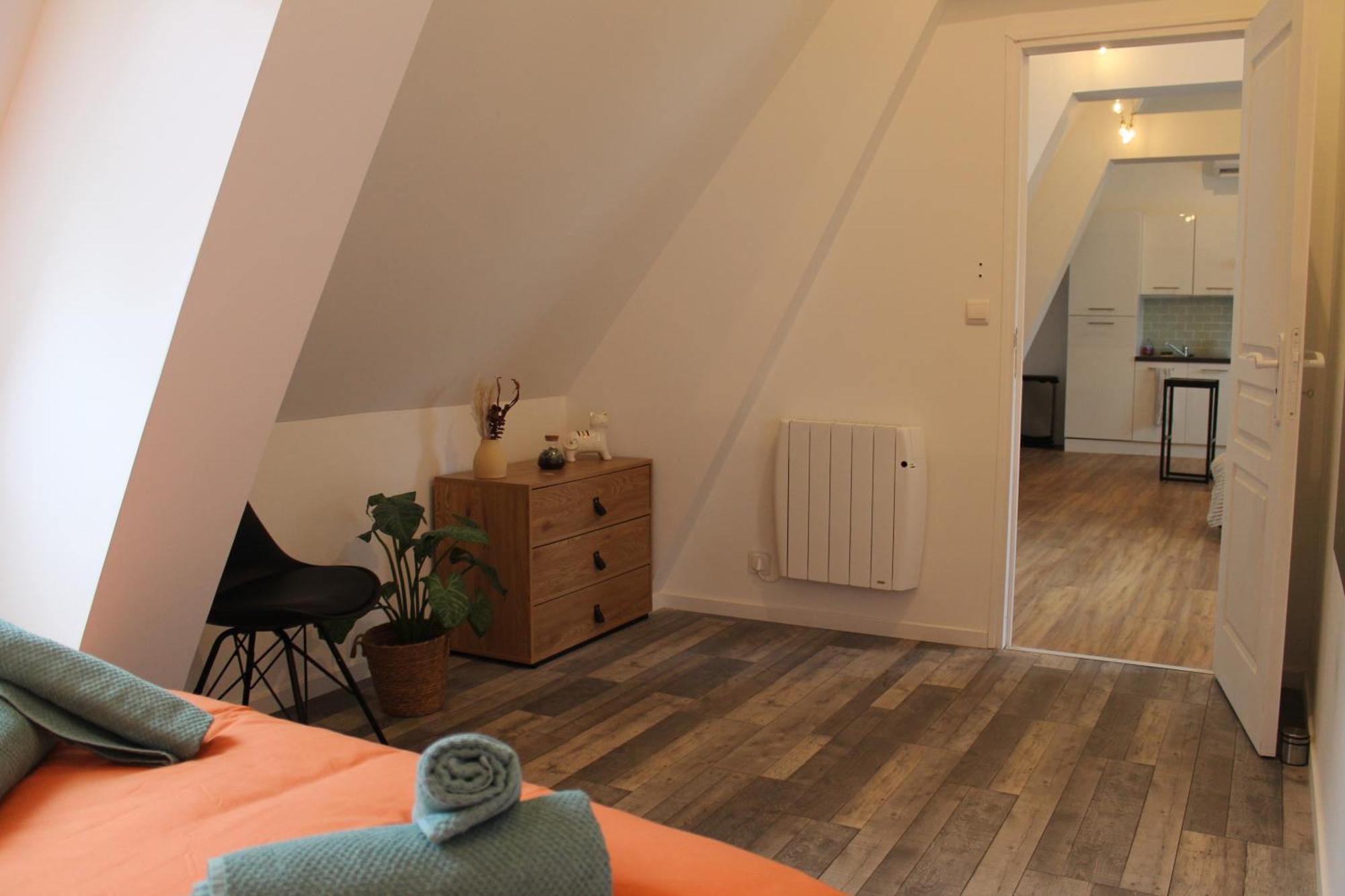 T3 Hypercentre - Navette Aeroport A 2 Pas Apartment *